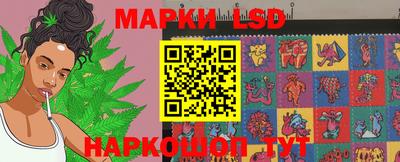 крисы Обнинск