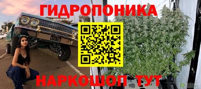 амф Обь