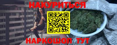 крисы Пенза