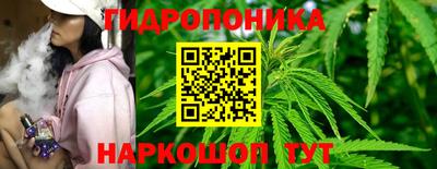 амф Обь
