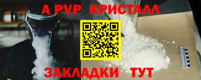 крисы Пенза