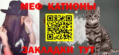 крисы Пенза