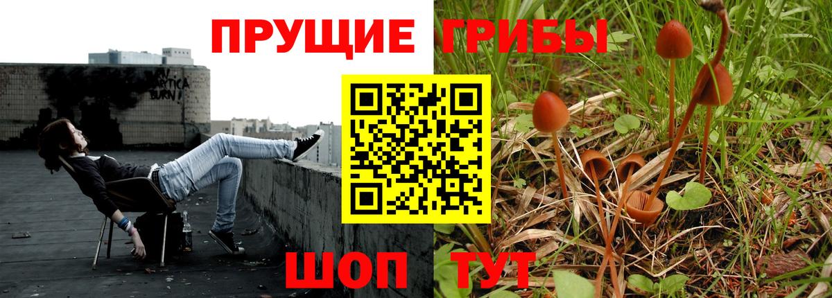 Семёнов  сколько стоит  Вход с VPN  Галлюциногенные грибы Magic Shrooms 